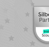 Lang Immobilien ist Immobilienexperte und Silber Partner bei Immoscout24 seit 2004