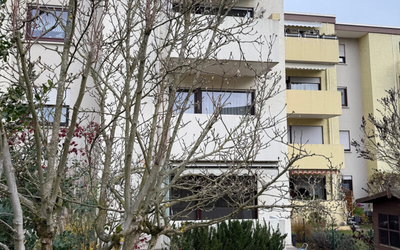 Schöne & große 4ZW in Urberach